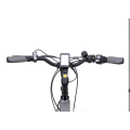 36V 250W High Configuration Light Weight Lady MID-Motor Electric Bike